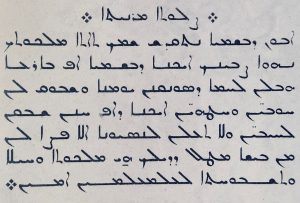 Read more about the article Removal of Syriac Language from Public Signs in Hasakah Sparks Strong Condemnation