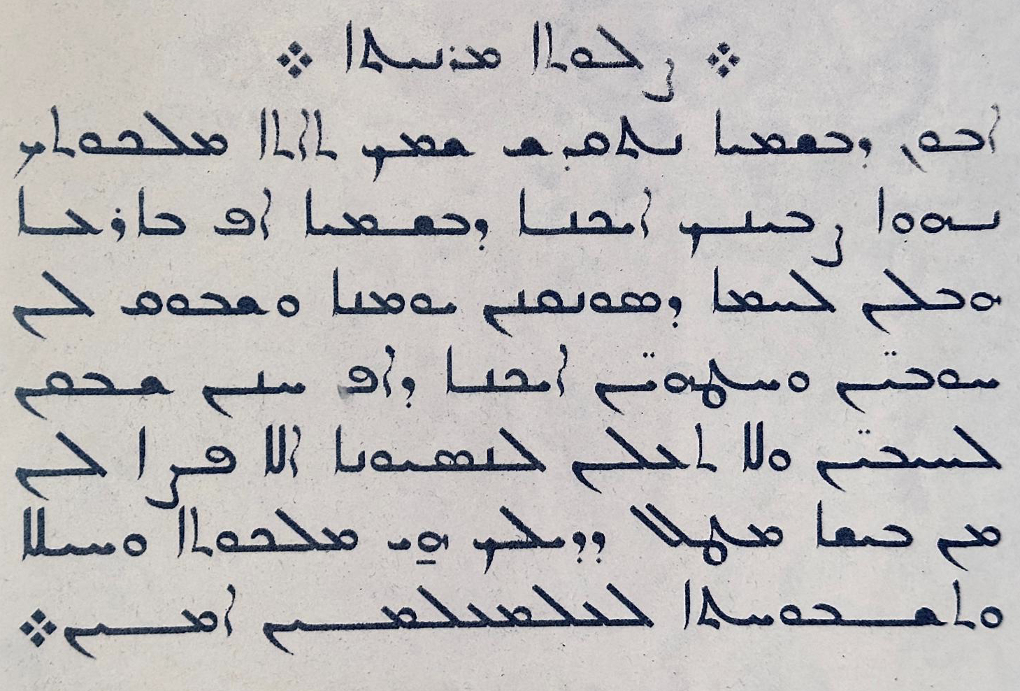 You are currently viewing Removal of Syriac Language from Public Signs in Hasakah Sparks Strong Condemnation